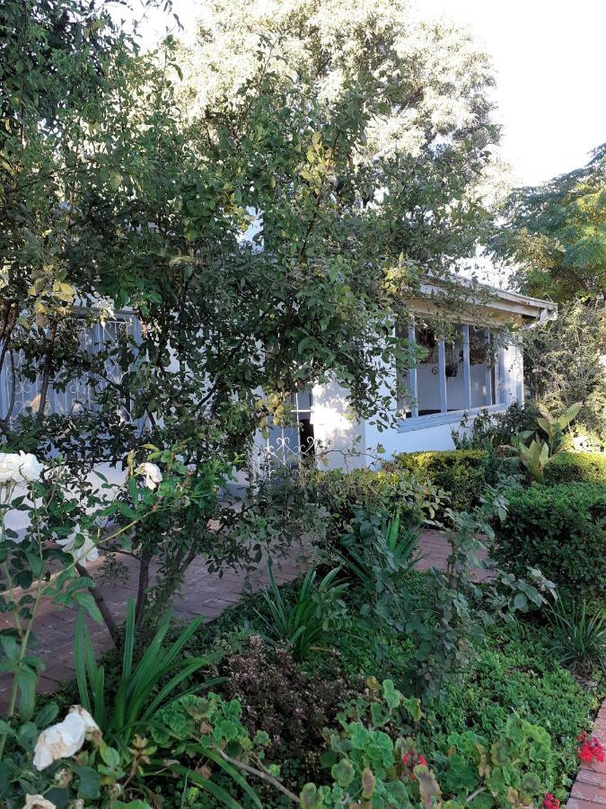 Driftwood Boutique Bed And Breakfast Lobatse Extérieur photo