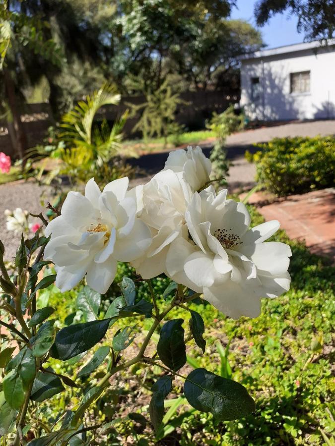 Driftwood Boutique Bed And Breakfast Lobatse Extérieur photo