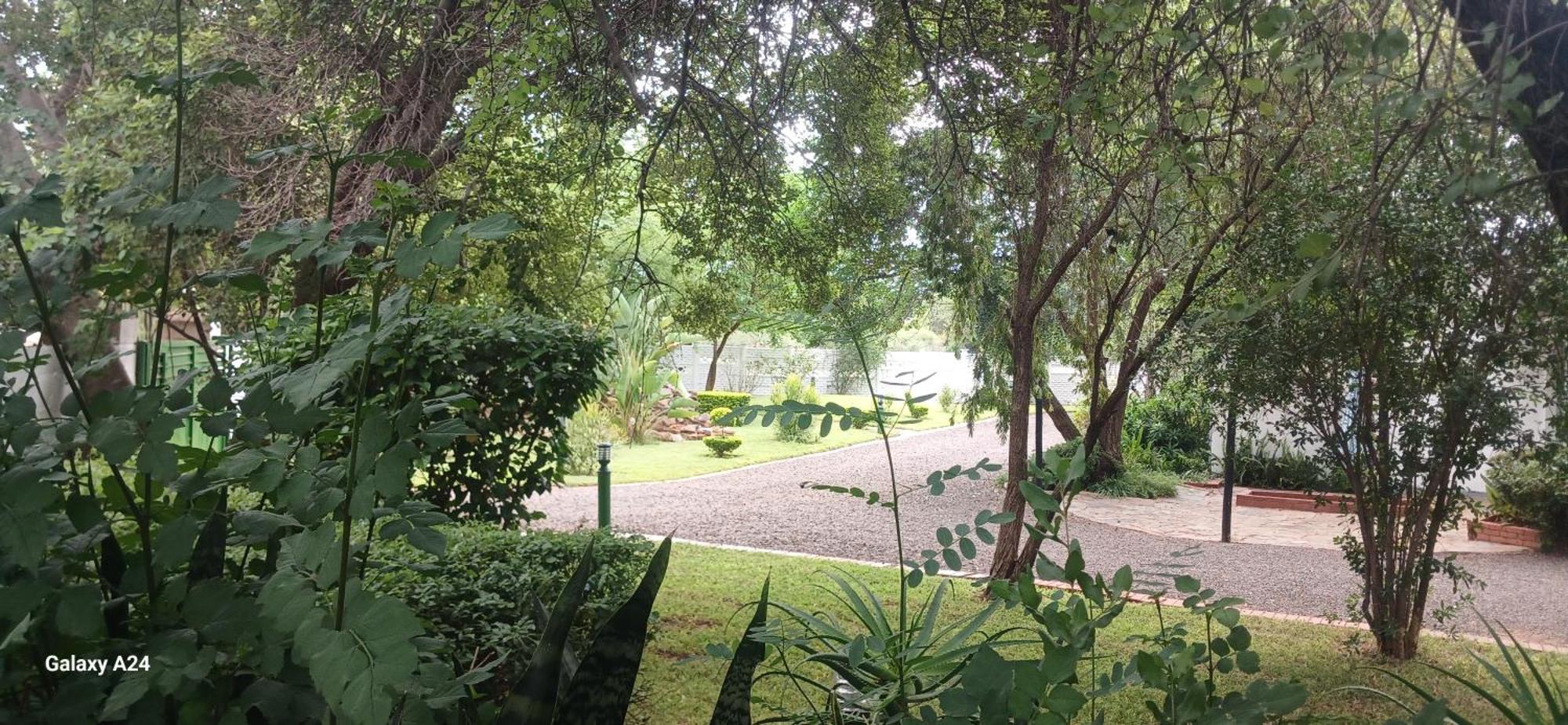 Driftwood Boutique Bed And Breakfast Lobatse Extérieur photo